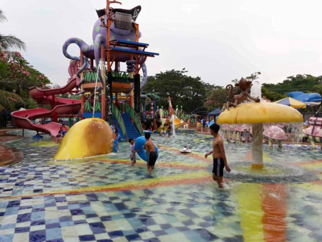 cintaholiday