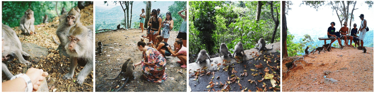 PAKET GILI TRAWANGAN 1 HARI