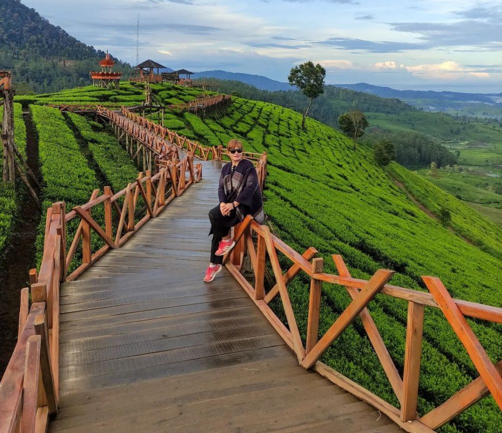 cintaholiday