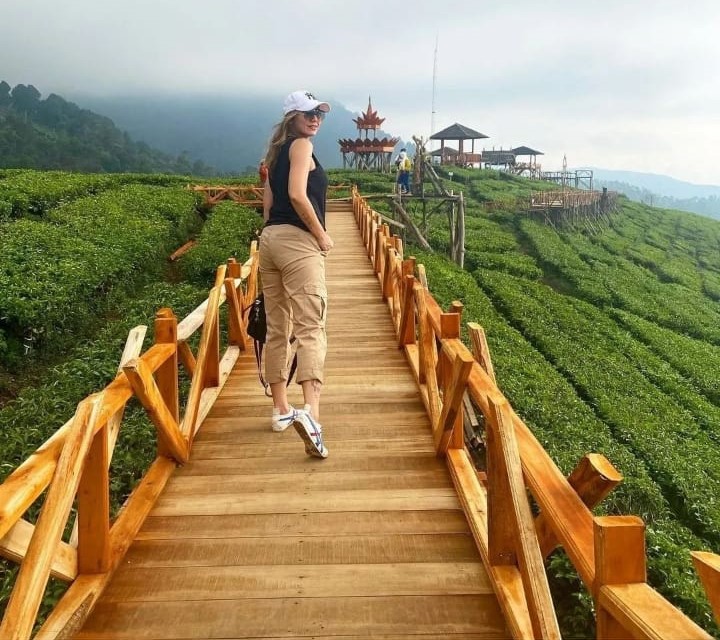 cintaholiday