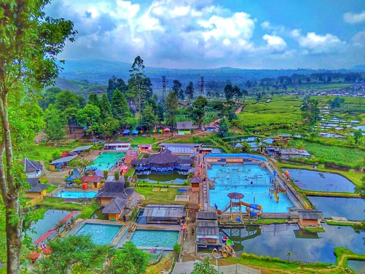 cintaholiday