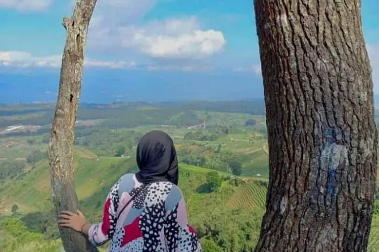 cintaholiday