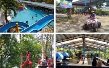 cintaholiday
