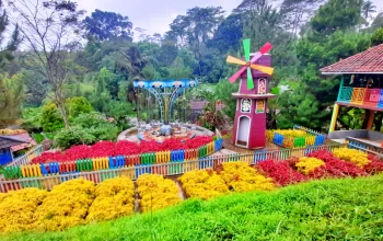 cintaholiday