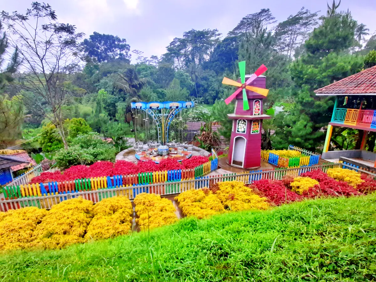 cintaholiday